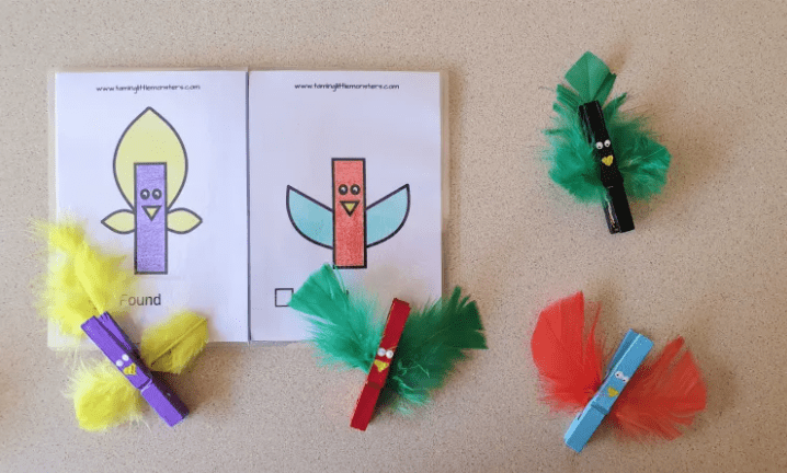 outdoor education activity with clothes pin birds and booklet