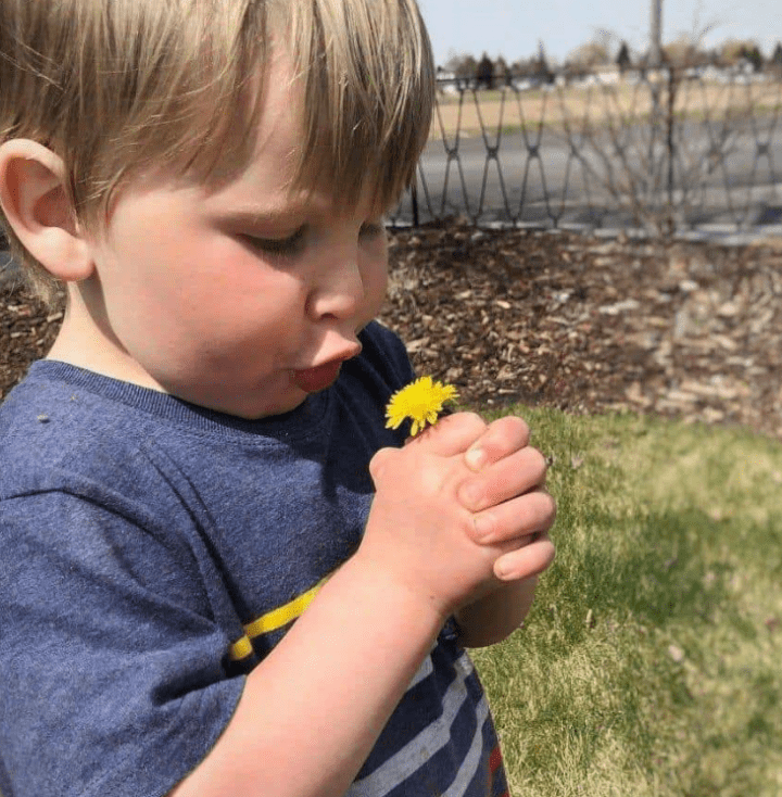 outdoor activity shows a child blowing on a dandelion