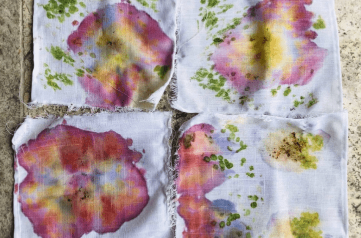 nature craft shows fabric dyed from flowers and plants