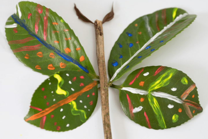 spring outdoor learning activities shows a butterfly made from leaves and paint