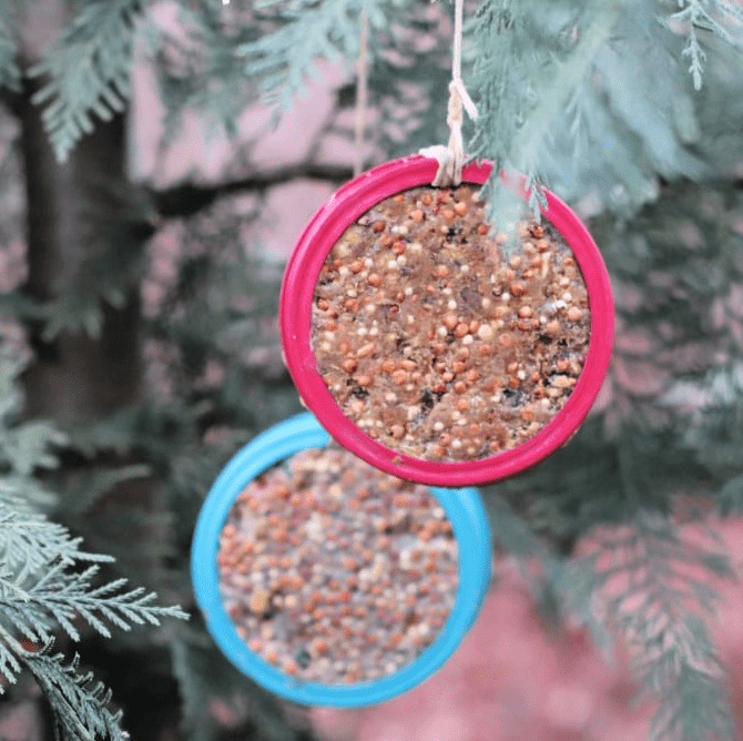 spring stem activities for kids shows circular bird feeders