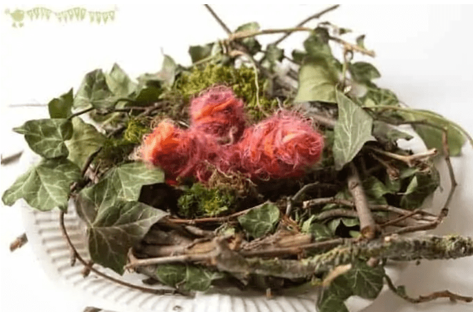 spring stem activities for kids shows a homemade birds nest