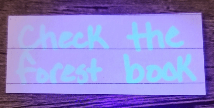 diy escape room shows a glowing clue that says check the forest book