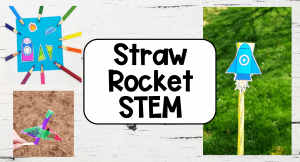 Science + STEM Archives - Hands-On Teaching Ideas