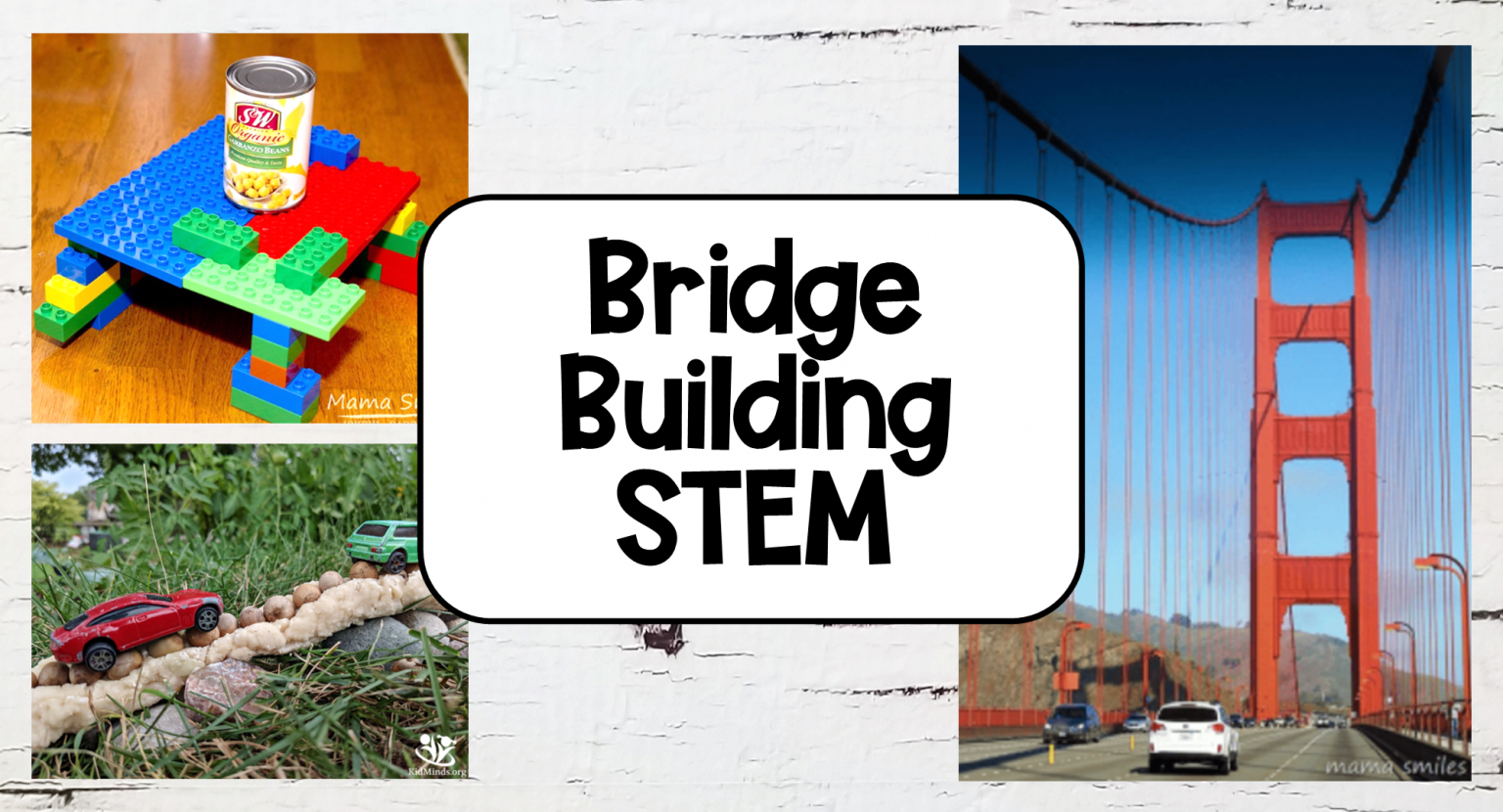 Science + STEM Archives - Hands-On Teaching Ideas