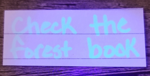 escape game shows a glowing clue that says check the forest book