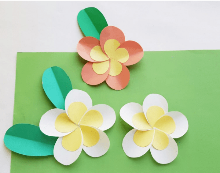 plumeria flower paper craft.