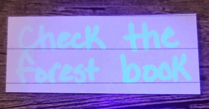 diy escape room shows a sheet with the words check the forest book in glowing letters.