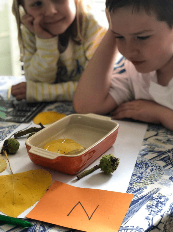 summer STEM activity shows children looking a bowl with water and a leaf.