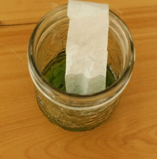 fall science experiment shows leaves crushed up in a jar and a white strip sticking out.