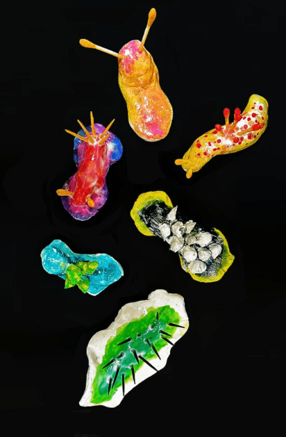 easy clay animals shows sea slugs made from clay.