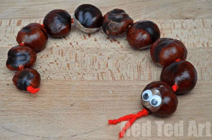 math activity for kids shows a conker snake with ten pieces for counting.