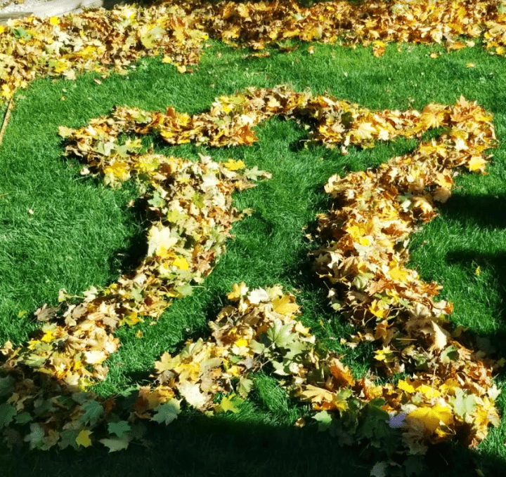 fall outdoor learning activities shows an outline of a person made from leaves.