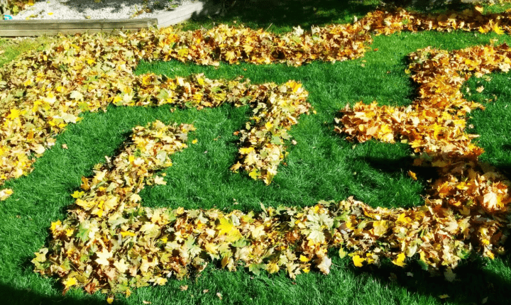 fall outdoor learning activities shows a maze made from leaves.