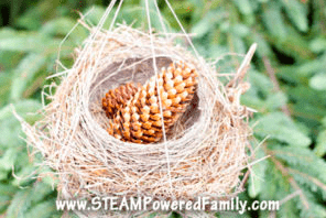 outdoor activity shows a birds nest with pinecones in it hanging.