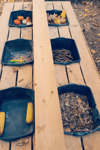 fall outdoor classroom shows six bins with fall items sorted in each.  Such as pumpkins, leaves, corn and more.