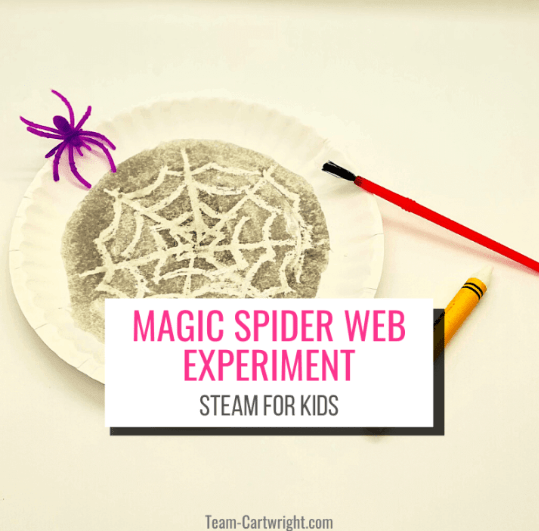 STEAM activity shows a paper plate with a spider web drawn on.