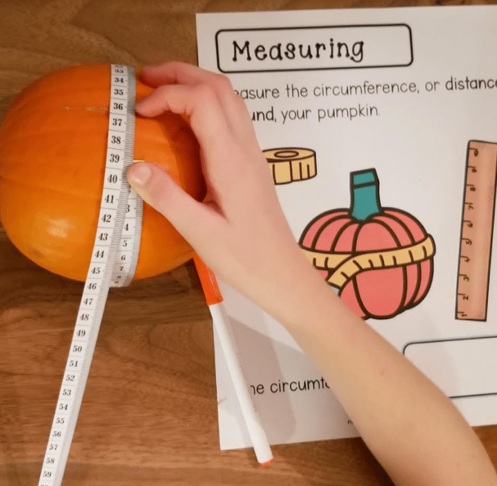 pumpkin investigation shows a printed booklet and a child measuring around a pumpkin.