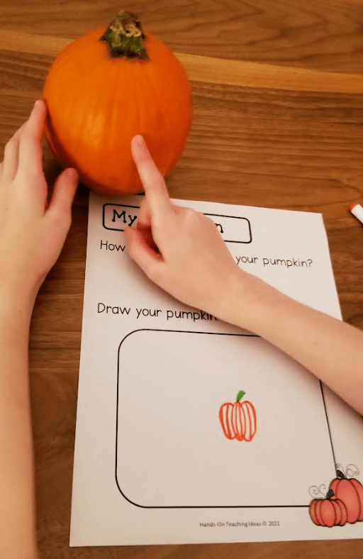 Pumpkin Investigation STEM Activities shows a child pointing to a small pumpkin.