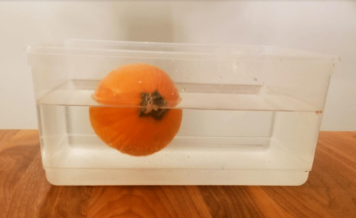 Pumpkin Investigation STEM Activities shows a pumpkin in a bucket of water.