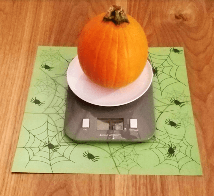 Pumpkin Investigation STEM Activities shows a pumpkin on a scale.