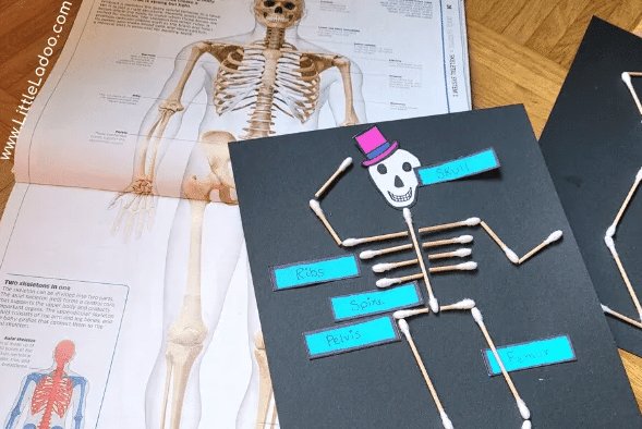 STEM activity for kids shows a skeleton on black paper made from cotton swabs.
