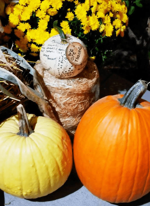 fall activity shows pumpkins on hay and with flowers around them and a white pumpkin with words printed on it.