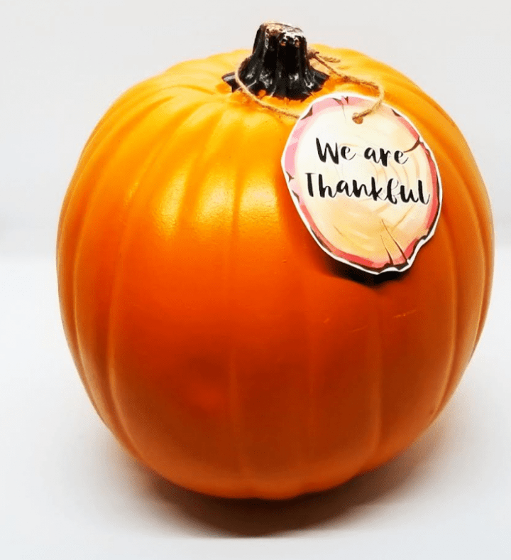 Thanksgiving activity for families fall activity for kids shows an orange pumpkin with the words we are thankful on a tag.