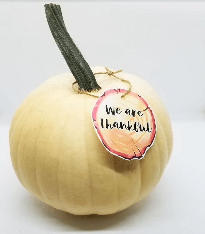 fall activity for kids shows an white pumpkin with the words we are thankful on a tag.