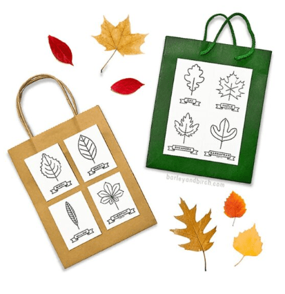 kindergarten learning activity shows two paper bags with a sheet with four leaves on it.