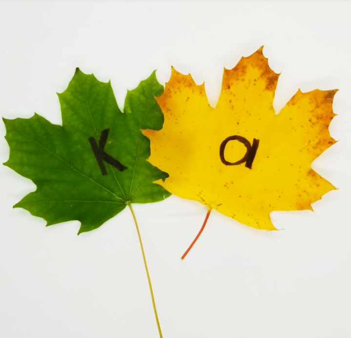 DIY puzzles shows two leaves with the letters K and A on them