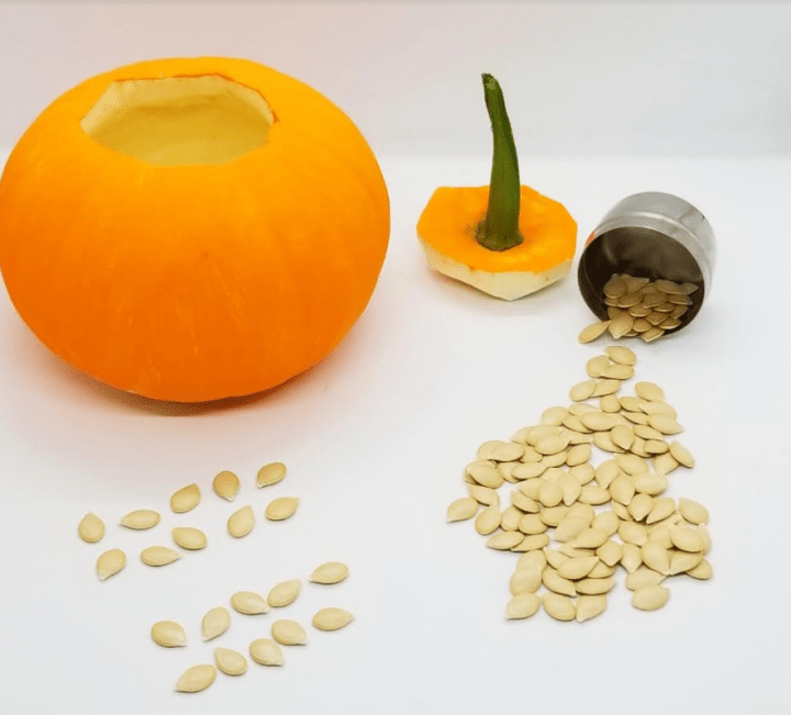 Make Your Own Escape Room for Fall shows a pumpkin opened with seeds spilling out from a container.