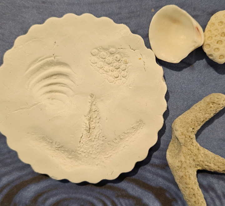 clay art shows a clay circle with shell prints in it.