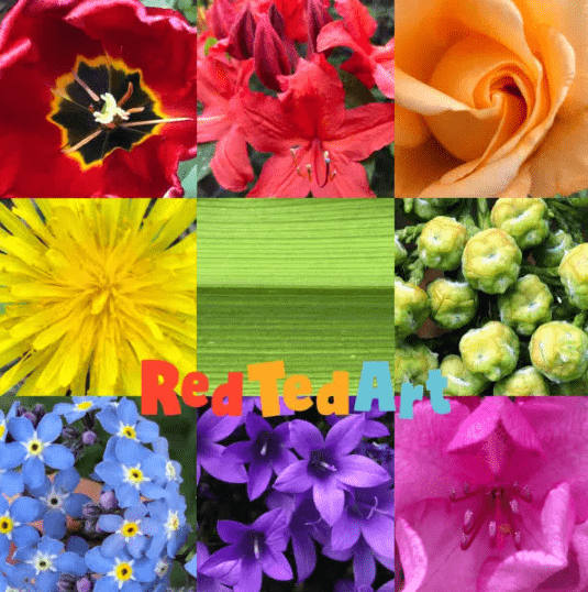 rainbow nature hunt shows a collage of colorful flowers each shade of the rainbow.