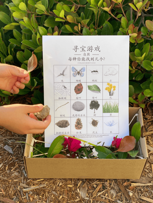 trilingual scavenger hunt shows a list in a box with lots of nature items in the box.