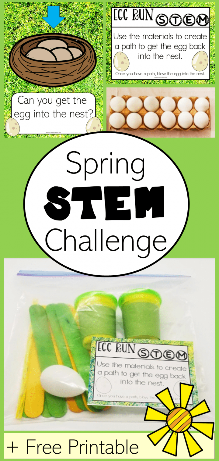 spring stem activity shows a pinterest pin collage of the pictures.