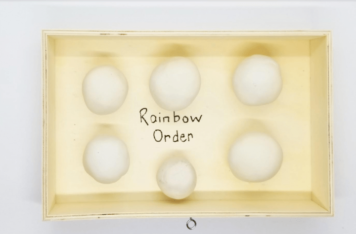 escape room puzzles shows a box with six white balls of clay and the words rainbow order on the bottom.