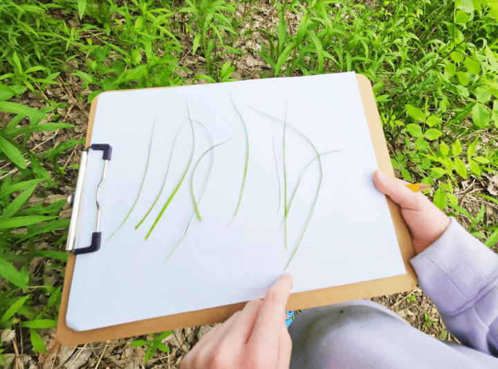 free printable scavenger hunt shows a child with ten blades of grass on a clipboard.
