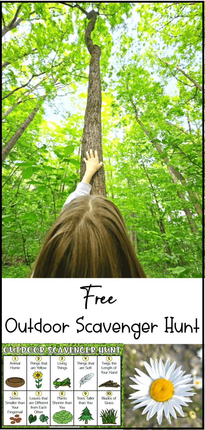 free printable scavenger hunt shows a pinterest pin with a child looking up at a tall tree.