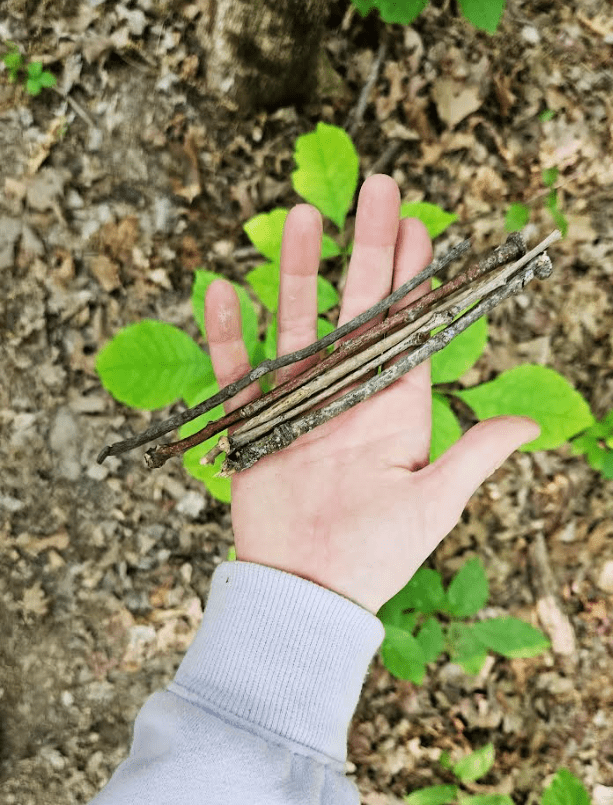 outdoor learning activity shows a child holding five twigs.