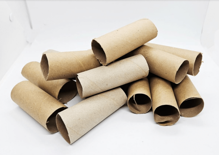 STEM shows a collection of paper towel rolls.