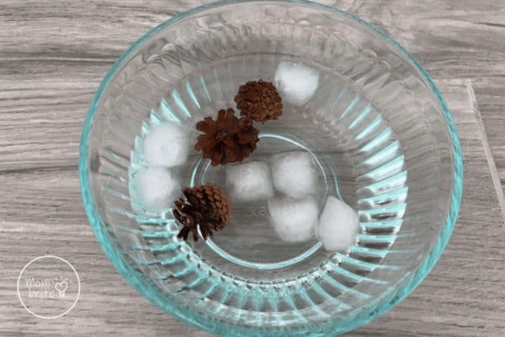 water stem activities shows a bowl with ice cubes and pine cones.