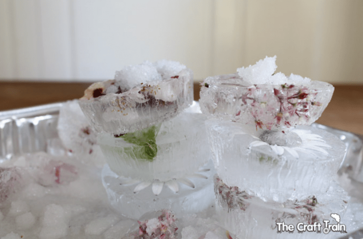 water stem challenge shows ice cubes filled with flowers.