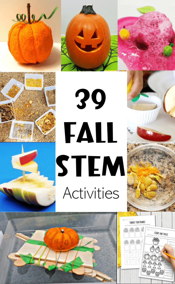 fall stem activities for kids shows a pinterest pin collage of activities.