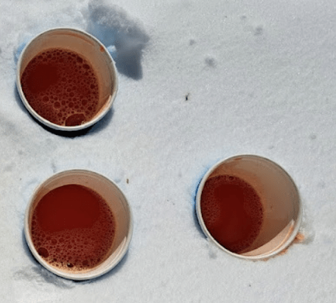 outdoor learning shows three cups in the snow filled with an orange liquid.