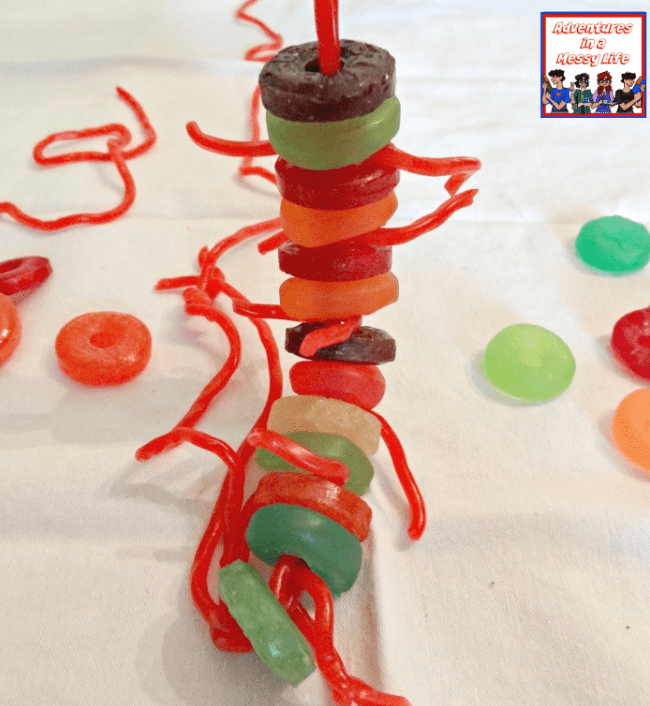 stem activities show a spinal cord made from candy.