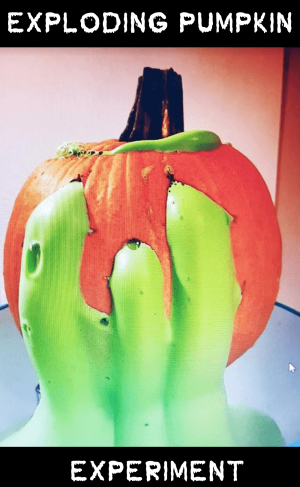 Exciting Fall Science Experiments for Kids
