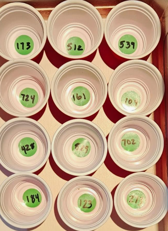 diy escape room for kids shows several rows of cups with green dots on the bottom of each with a number printed on each.