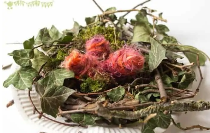 DIY birds nest shows a nest made from random backyard materials.