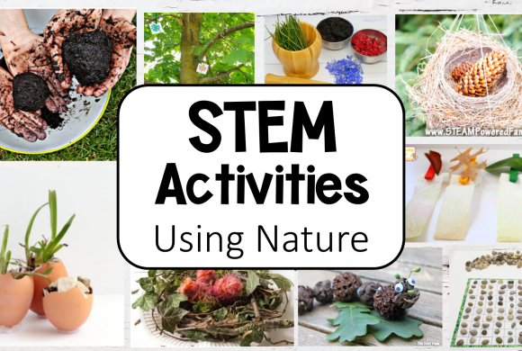 34 Best STEM Activities with Nature